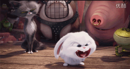 25 爱宠大机密  the secret life of pets (2016) 导演: 克里斯·雷