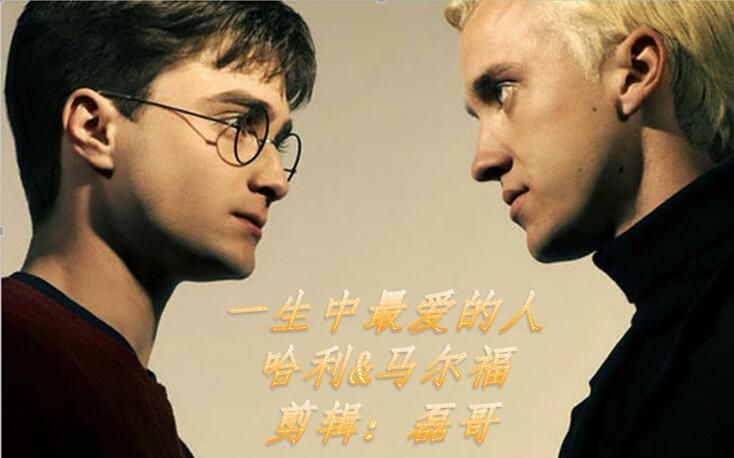 [cp ]一生中最爱的人 哈利和马尔福的爱情故事