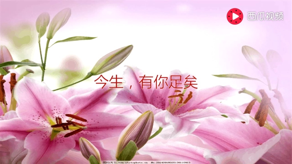 今生,有你足矣