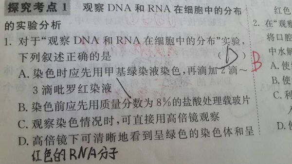 高中生物题,d项错了,。b中用盐酸高中v高中华附图片