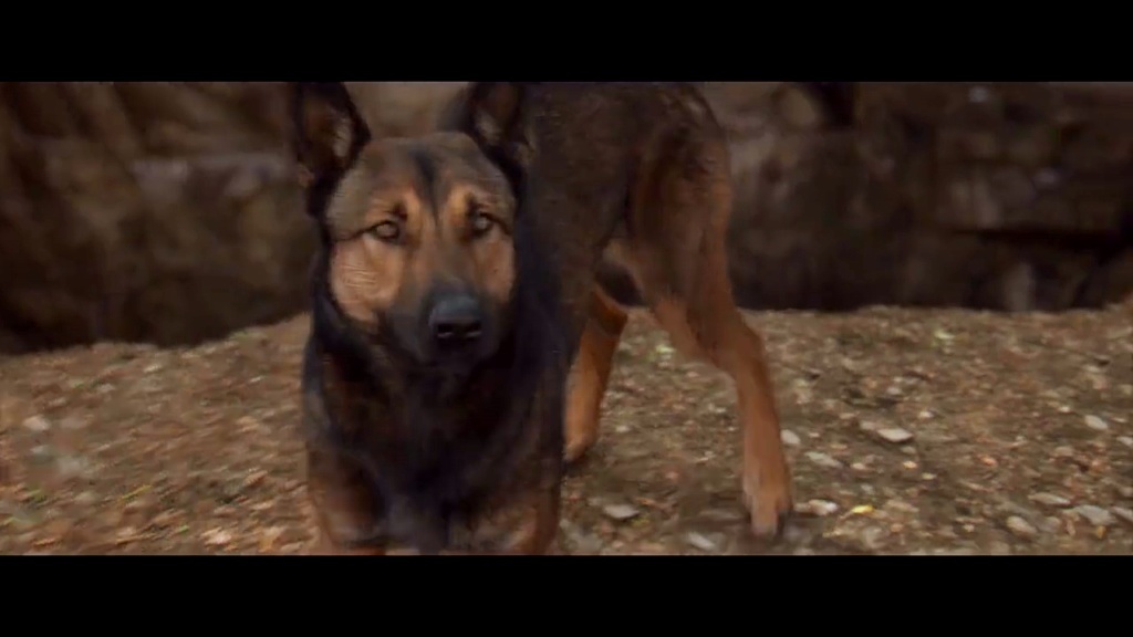 军犬麦克斯.max. 英雄