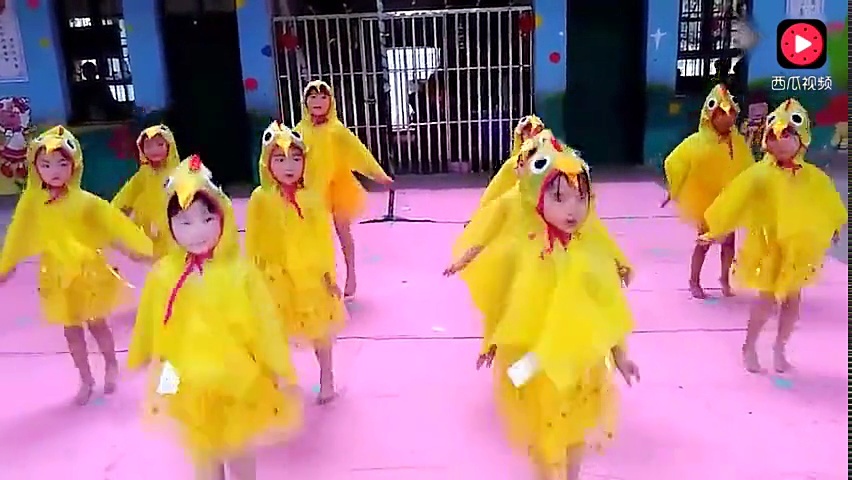 儿童舞蹈《小鸡小鸡》幼儿舞蹈表演