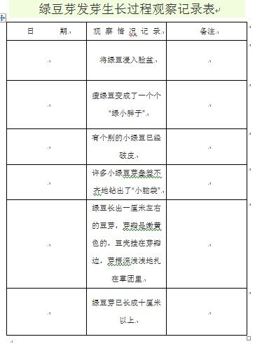 绿豆芽生长情况记录表