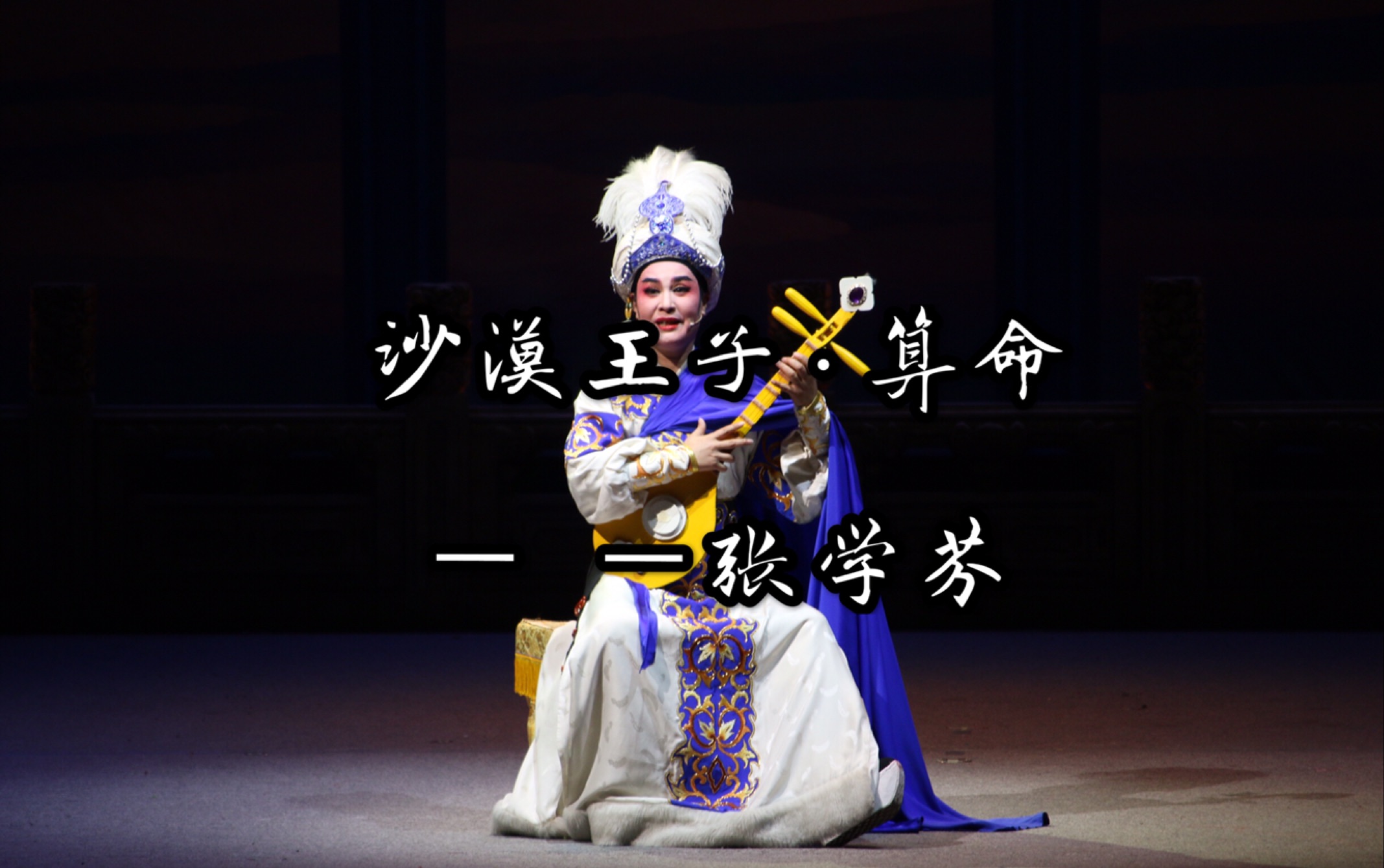绍兴越剧春晚 —— 张学芬《沙漠王子·算命》 (二排旁座视角手机拍摄