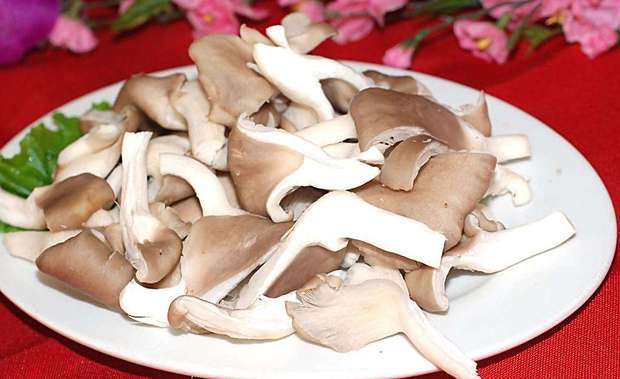 哺乳期吃平菇回奶鹅蛋可以炒小白菜吗图片
