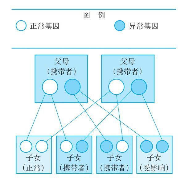 为什么不能近亲结婚?