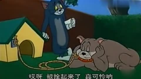 猫和老鼠天津方言版:有恩必报!-搞笑动画-搞笑大西瓜