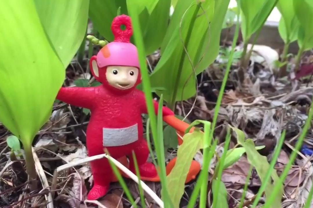 视频:天线宝宝玩具生病在床上有绿色的斑点!