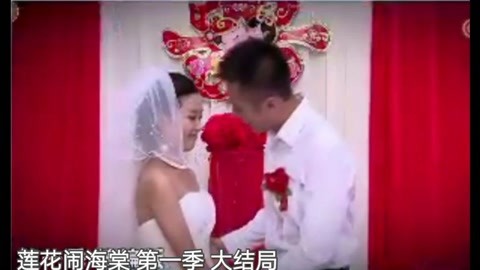 《 b>普法栏目剧 /b>》 b>莲花闹海棠 /b>·第一季(大结局)