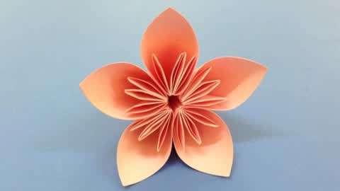 如何制作纸花!轻松折纸初学者制作|!diy纸制工艺品!