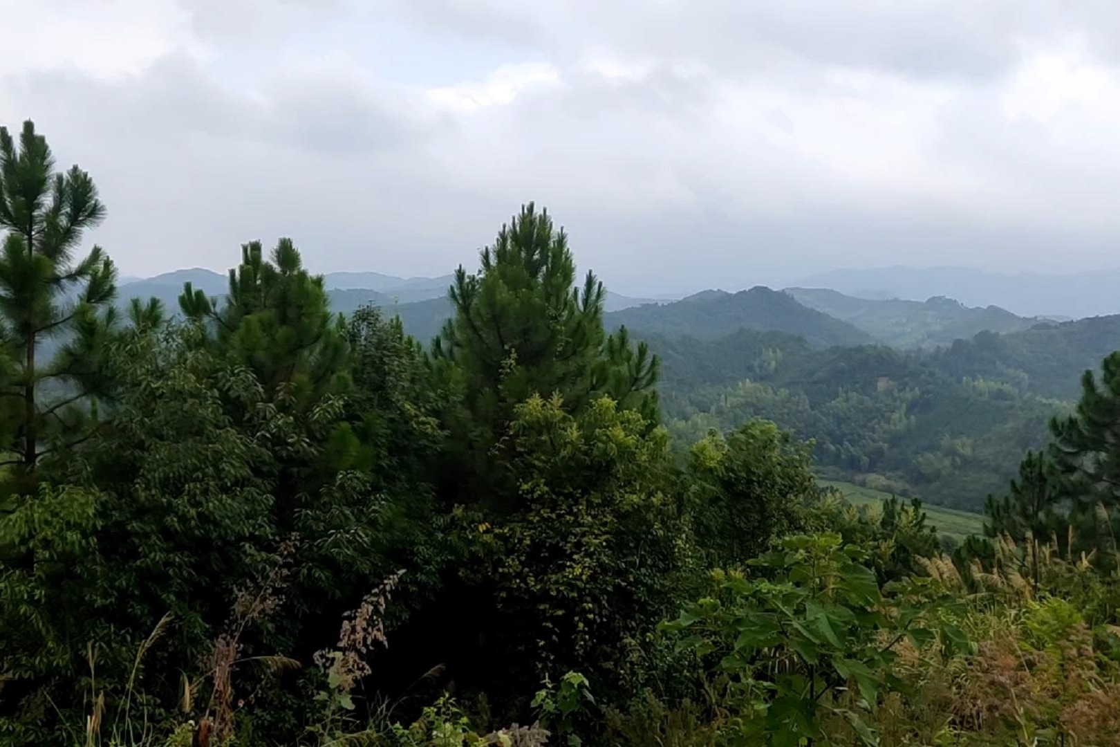 视频-邹镇帮国学院:风水大师寻龙点穴,阴宅祖坟墓地地理坟地风水教学