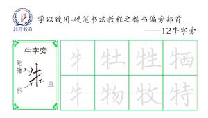 学以致用—硬笔书法教程之楷书偏旁部首12牛字旁