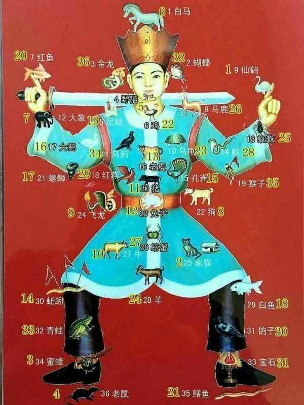 有期追永远,无政继龚黄.《无》 打一动物,36字花猜谜
