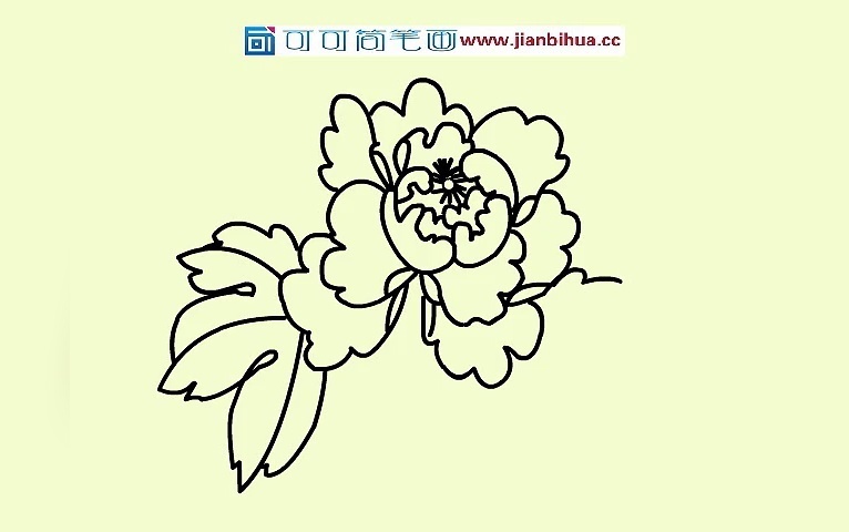 儿童学画国花_牡丹花简笔画的视频教程画法