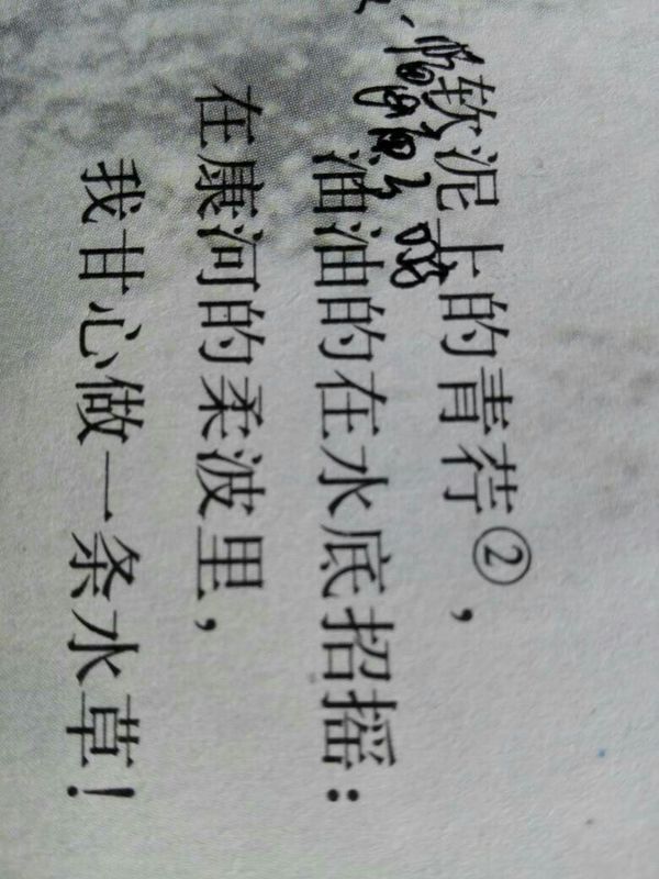 通过这段文字描写一幅画面不少于200字,急求大神们帮忙愿意帮忙的先