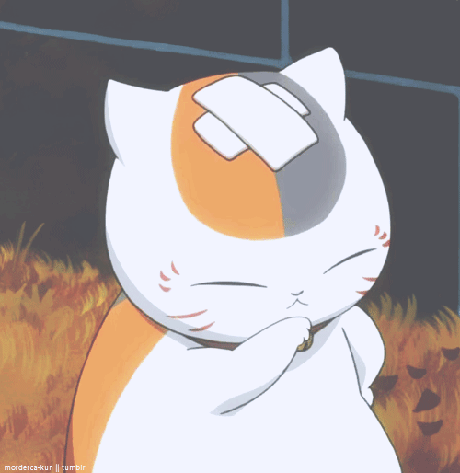 哪里能找到猫咪老师的动图或表情包