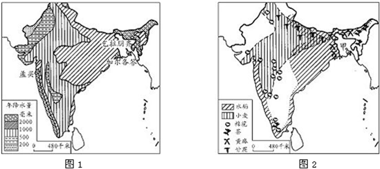读印度降水量图(图1)和印度农作物分布图(图2),结合所