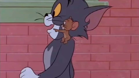 猫和老鼠(国语版):一起看电影