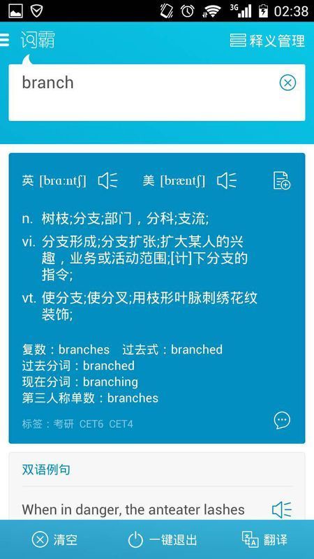 branch是什么意思?