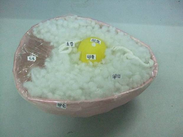 生物膜的流动镶嵌模型----市示范课精要.ppt