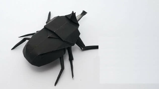 折纸达人:如何折出逼真的大力士甲虫!