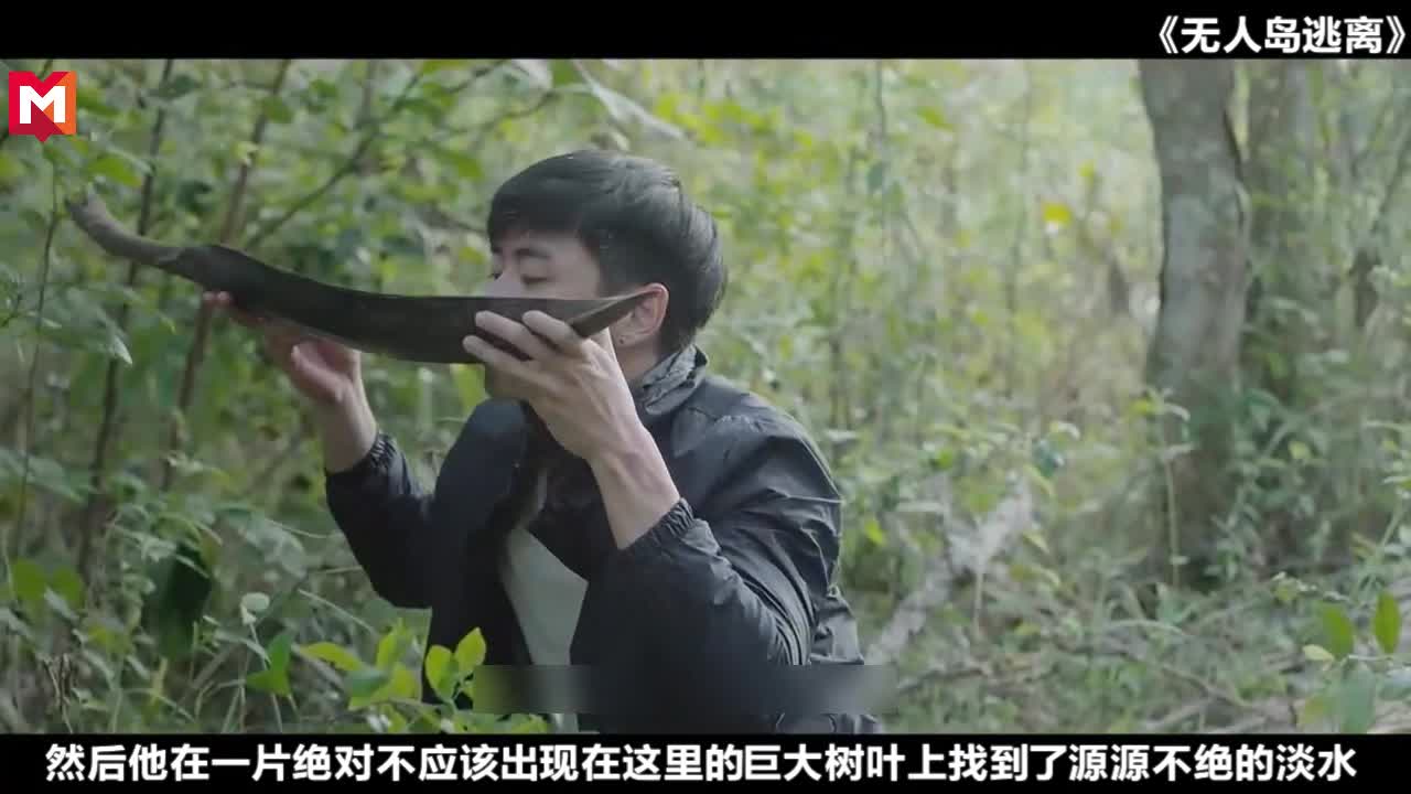 木子李说电影《逃出无人岛》富二代失落荒岛,捡到16岁少女一名,从此