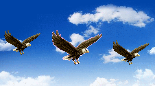 鸟飞在天空是什么原理?