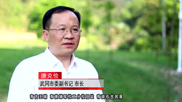 视频丨 红网记者采访武冈市长唐克俭