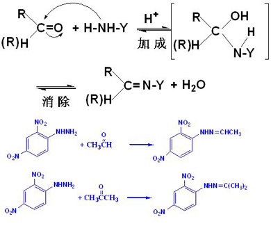 肉桂醛与2,4-二硝基苯肼,高锰酸钾的反应方程式