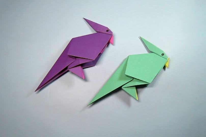 视频:儿童 手工折纸小动物,简单又漂亮鹦鹉的折法,只要一张纸
