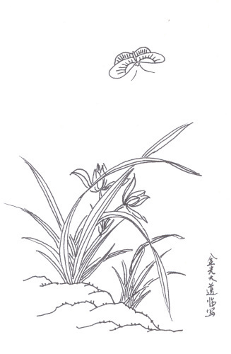 铅笔怎么画兰花