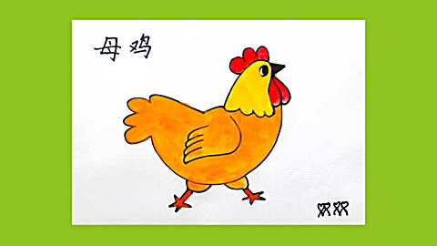 怎样画水粉画 母鸡的画法 母鸡卡通画 母鸡简笔画 小鸡 水彩画教程