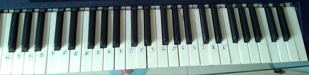 49键电子琴键盘图