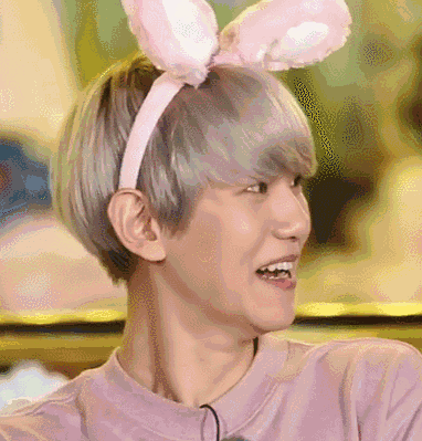 这张边伯贤的动图是那个综艺节目的大家帮我看看这张边伯贤表情包是