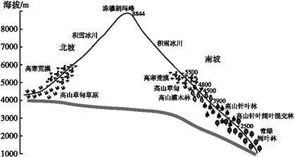 如图为珠穆朗玛峰垂直自然带图.