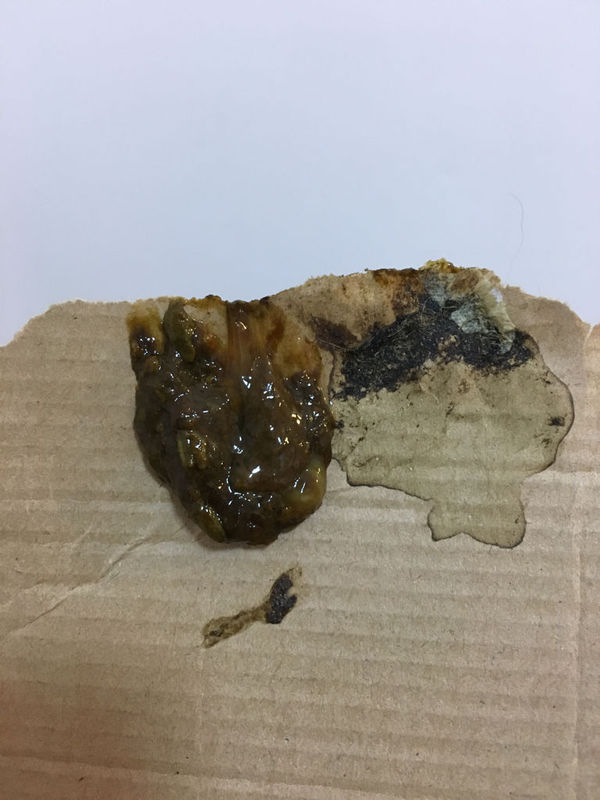 狗拉稀 伴有白色透明果冻状的东西 拉了两天 精神状态挺好 刚拿回来