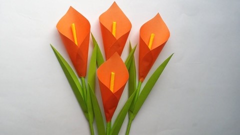如何制作纸花,精致又漂亮的手工折纸教程!