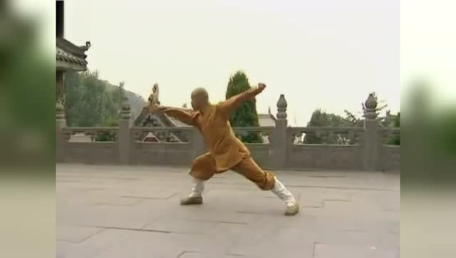 中华传统武术少林寺罗汉拳