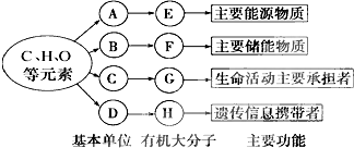 以下是生物体内四种有机物的组成与功能关系图(1)a是指______ e在动物