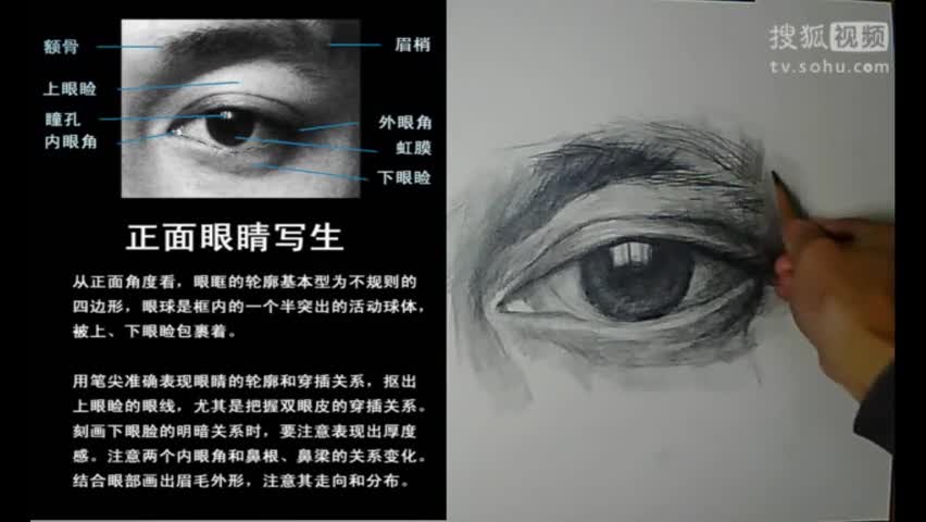 素描头像眼睛教程视频.素描静物头像构图铅笔