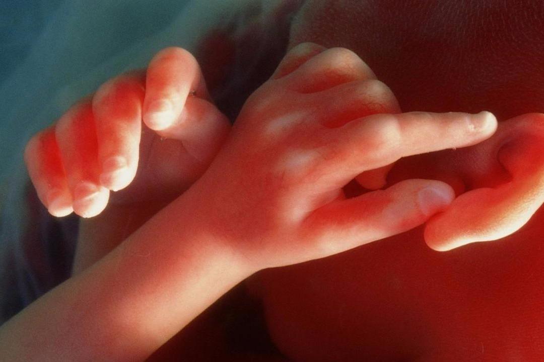 视频:孕21周到 周 胎儿变化!