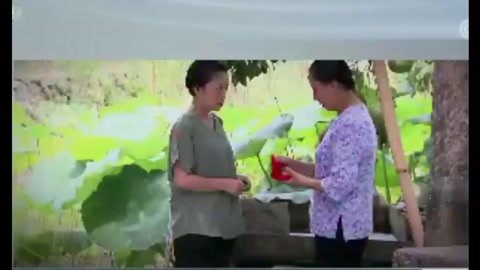 《普法栏目剧》莲花闹海棠·第一季(十二)