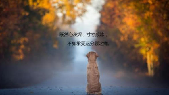 离开的说说伤感句子