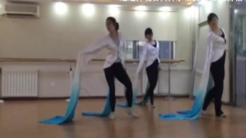 古典舞蹈视频大全 水袖技法-原地抖袖