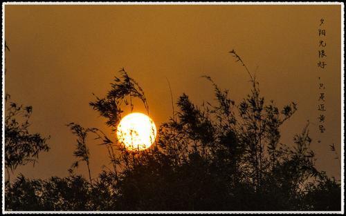 一《乐游原》原诗 向晚意不适,驱车登古原 夕阳无限好,只是近黄昏.