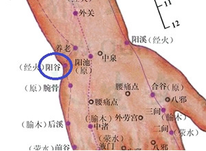 阳谷穴怎么找