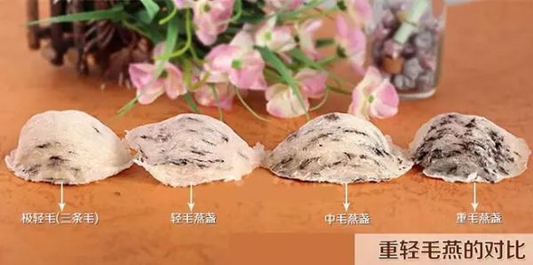 做燕窝 用什么材料