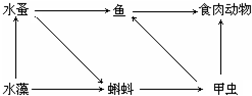 中档   试题类型:解答题   试题内容:如图为某池塘生态系统的食物网