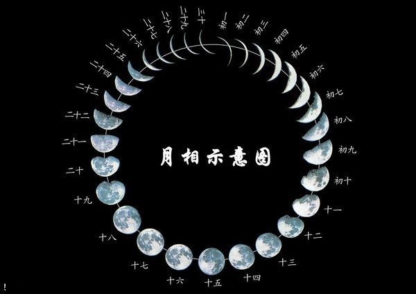 >> 文章内容 >> 农历一个月的月形图及位置  月相共分八种:   新月