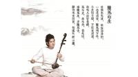 陈军老师二胡演奏的《太极琴侠 技艺怎一个帅字了得